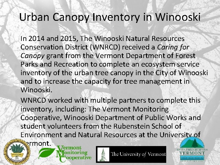 Urban Canopy Inventory in Winooski In 2014 and 2015, The Winooski Natural Resources Conservation