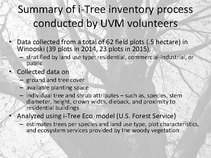 Summary of i-Tree inventory process conducted by UVM volunteers • Data collected from a