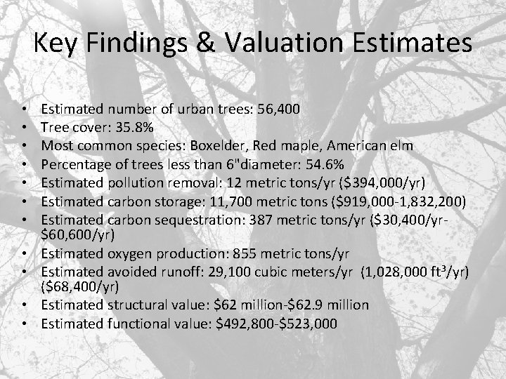 Key Findings & Valuation Estimates • • • Estimated number of urban trees: 56,