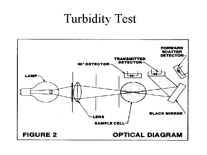 Turbidity Test 