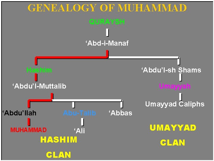 GENEALOGY OF MUHAMMAD QURAYSH ‘Abd-i-Manaf Hashim ‘Abdu’l-sh Shams ‘Abdu’l-Muttalib Umayyah Umayyad Caliphs ‘Abdu’llah Abu-Talib