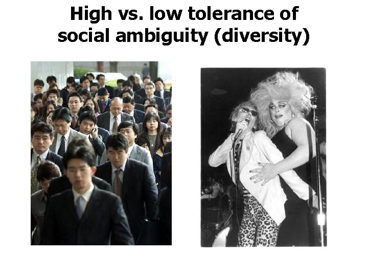 High vs. low tolerance of social ambiguity (diversity) 