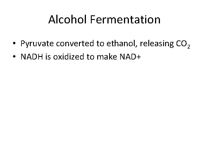 Alcohol Fermentation • Pyruvate converted to ethanol, releasing CO 2 • NADH is oxidized