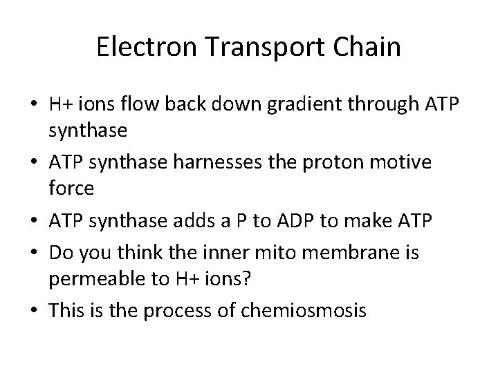 Electron Transport Chain • H+ ions flow back down gradient through ATP synthase •