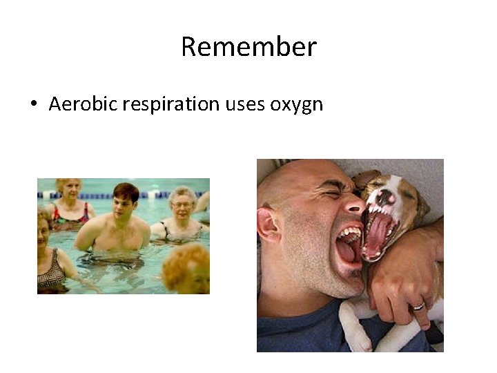 Remember • Aerobic respiration uses oxygn 