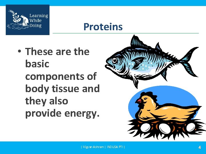 Proteins • These are the basic components of body tissue and they also provide