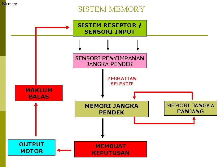 Memory SISTEM MEMORY SISTEM RESEPTOR / SENSORI INPUT SENSORI PENYIMPANAN JANGKA PENDEK PERHATIAN SELEKTIF