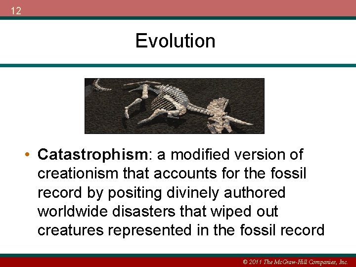 12 Evolution • Catastrophism: a modified version of creationism that accounts for the fossil