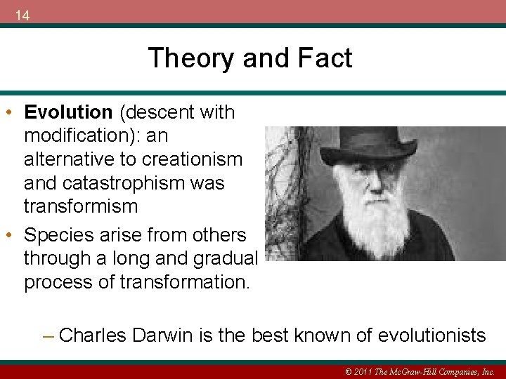 14 Theory and Fact • Evolution (descent with modification): an alternative to creationism and