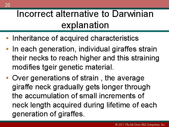 20 Incorrect alternative to Darwinian explanation • Inheritance of acquired characteristics • In each