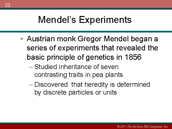 23 Mendel’s Experiments • Austrian monk Gregor Mendel began a series of experiments that