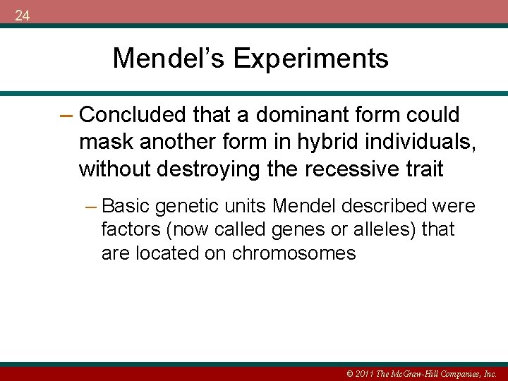 24 Mendel’s Experiments – Concluded that a dominant form could mask another form in