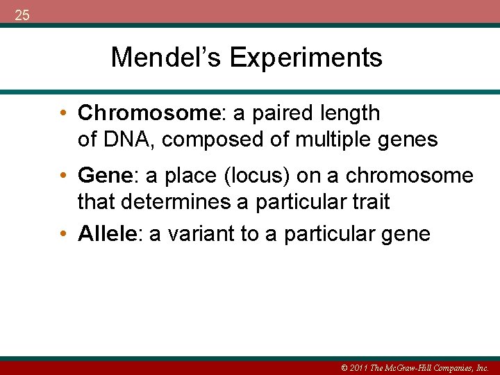 25 Mendel’s Experiments • Chromosome: a paired length of DNA, composed of multiple genes