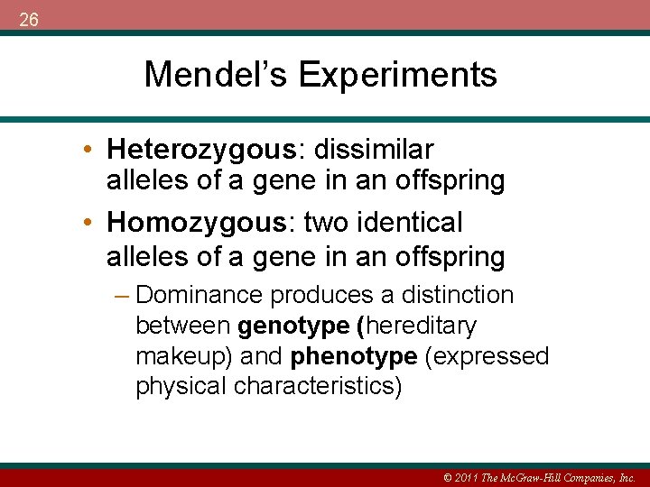 26 Mendel’s Experiments • Heterozygous: dissimilar alleles of a gene in an offspring •