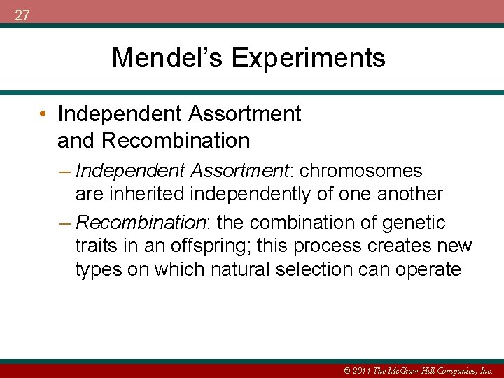 27 Mendel’s Experiments • Independent Assortment and Recombination – Independent Assortment: chromosomes are inherited