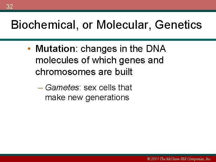 32 Biochemical, or Molecular, Genetics • Mutation: changes in the DNA molecules of which