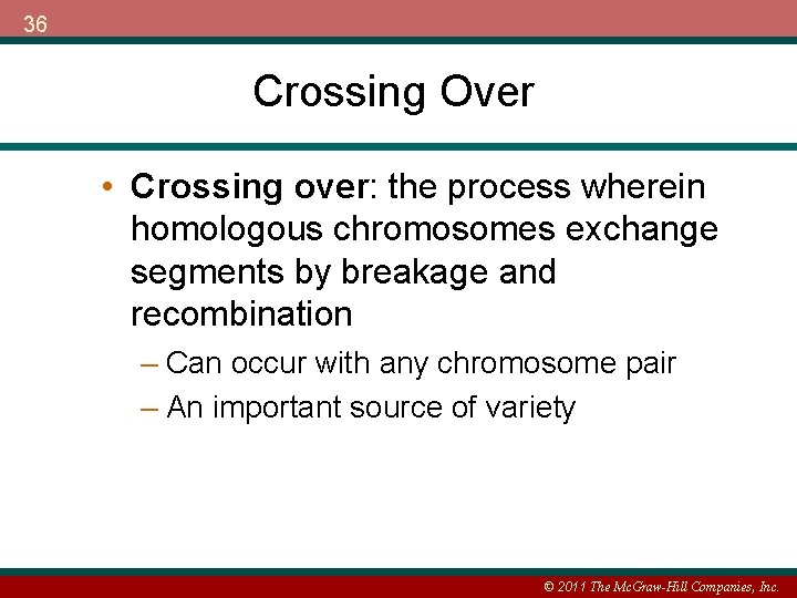 36 Crossing Over • Crossing over: the process wherein homologous chromosomes exchange segments by