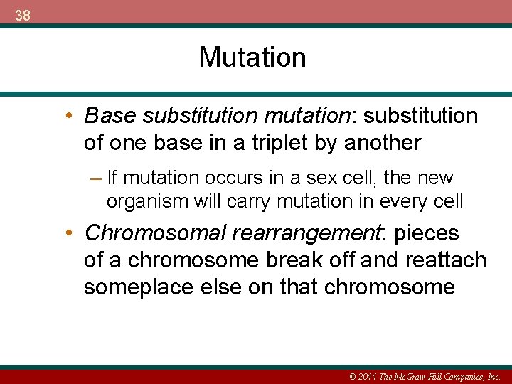 38 Mutation • Base substitution mutation: substitution of one base in a triplet by