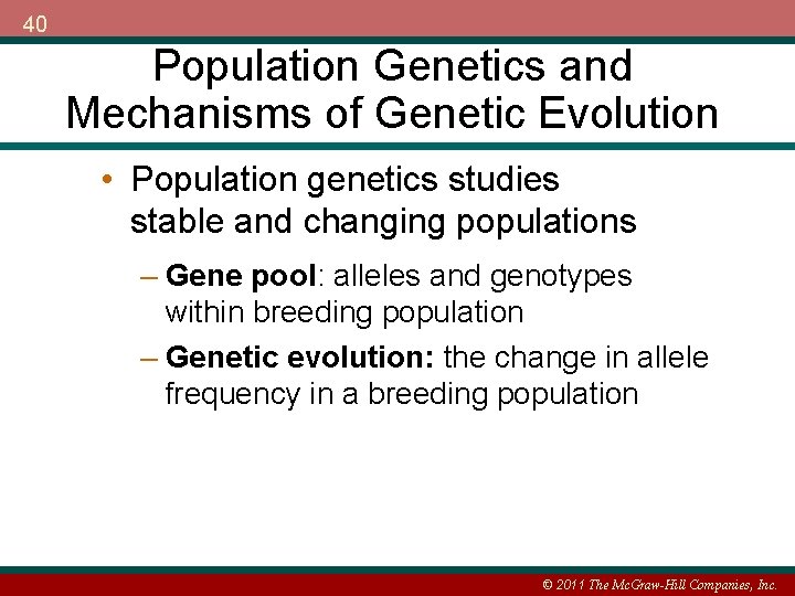 40 Population Genetics and Mechanisms of Genetic Evolution • Population genetics studies stable and