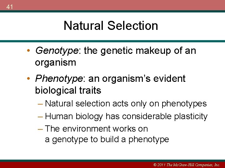 41 Natural Selection • Genotype: the genetic makeup of an organism • Phenotype: an