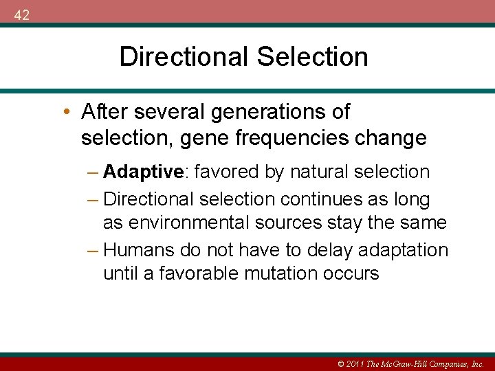 42 Directional Selection • After several generations of selection, gene frequencies change – Adaptive: