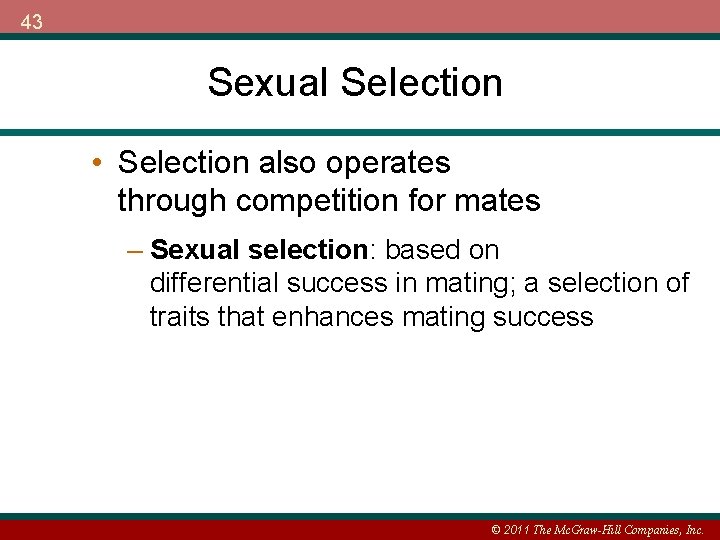 43 Sexual Selection • Selection also operates through competition for mates – Sexual selection: