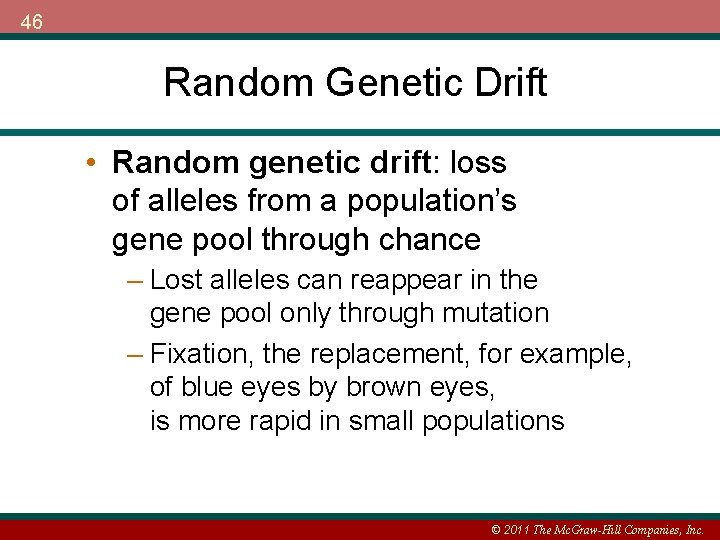 46 Random Genetic Drift • Random genetic drift: loss of alleles from a population’s