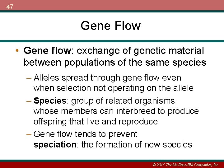 47 Gene Flow • Gene flow: exchange of genetic material between populations of the