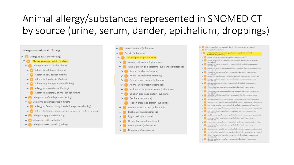 Animal allergy/substances represented in SNOMED CT by source (urine, serum, dander, epithelium, droppings) 