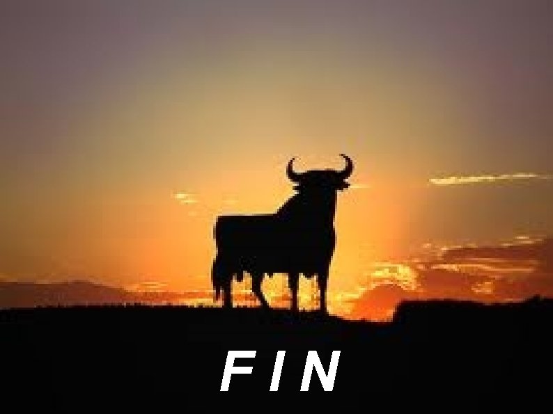 FIN 