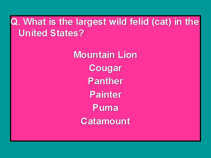 Q. What is the largest wild felid (cat) in the United States? Mountain Lion