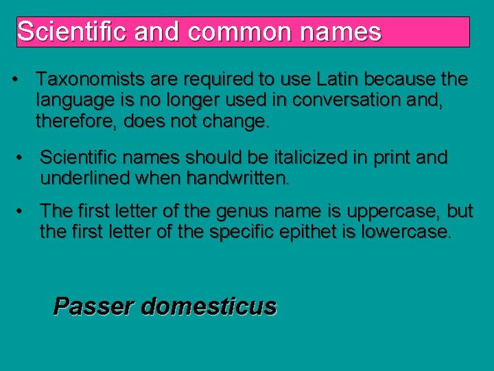 Scientific and common names • Taxonomists are required to use Latin because the language