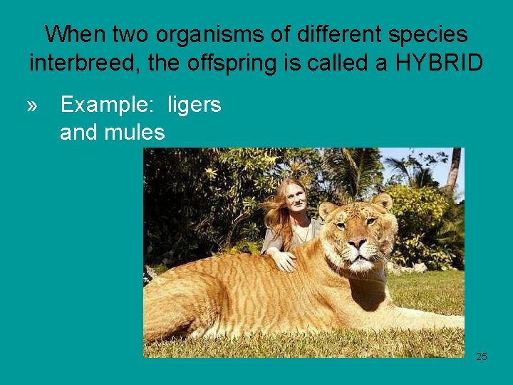 When two organisms of different species interbreed, the offspring is called a HYBRID »