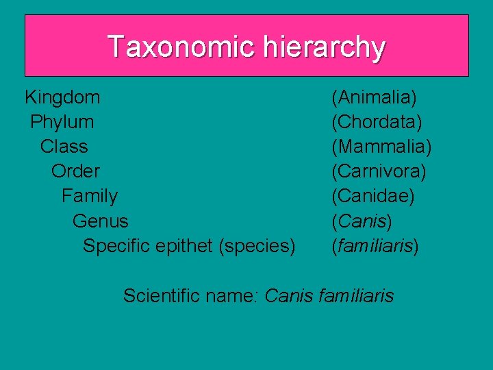 Taxonomic hierarchy Kingdom Phylum Class Order Family Genus Specific epithet (species) (Animalia) (Chordata) (Mammalia)