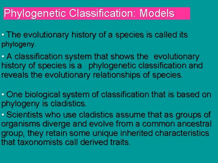 Phylogenetic Classification: Models • The evolutionary history of a species is called its phylogeny.