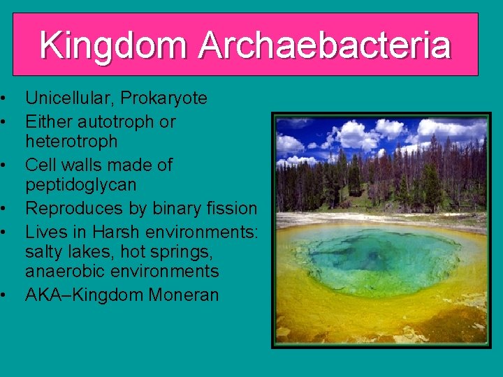  • • • Kingdom Archaebacteria Unicellular, Prokaryote Either autotroph or heterotroph Cell walls
