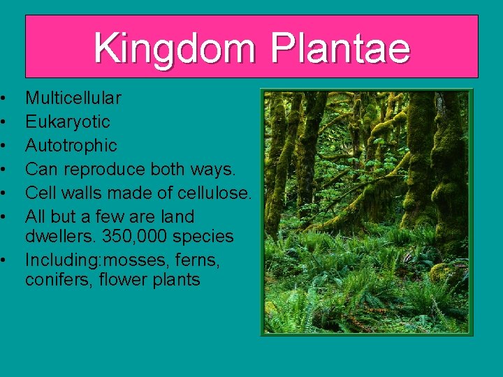  • • Kingdom Plantae Multicellular Eukaryotic Autotrophic Can reproduce both ways. Cell walls