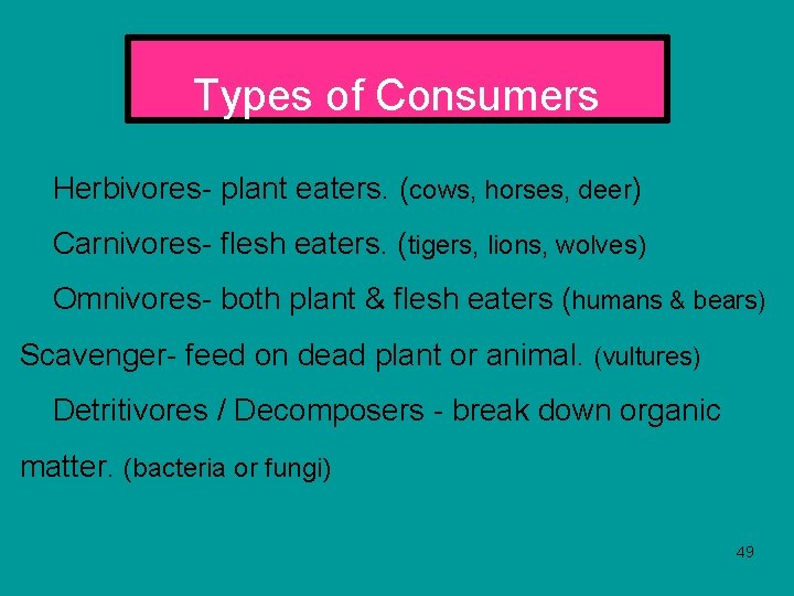 Types of Consumers Herbivores- plant eaters. (cows, horses, deer) Carnivores- flesh eaters. (tigers, lions,