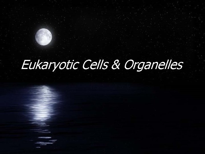 Eukaryotic Cells & Organelles 