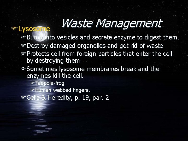 FLysosome Waste Management FBump into vesicles and secrete enzyme to digest them. FDestroy damaged