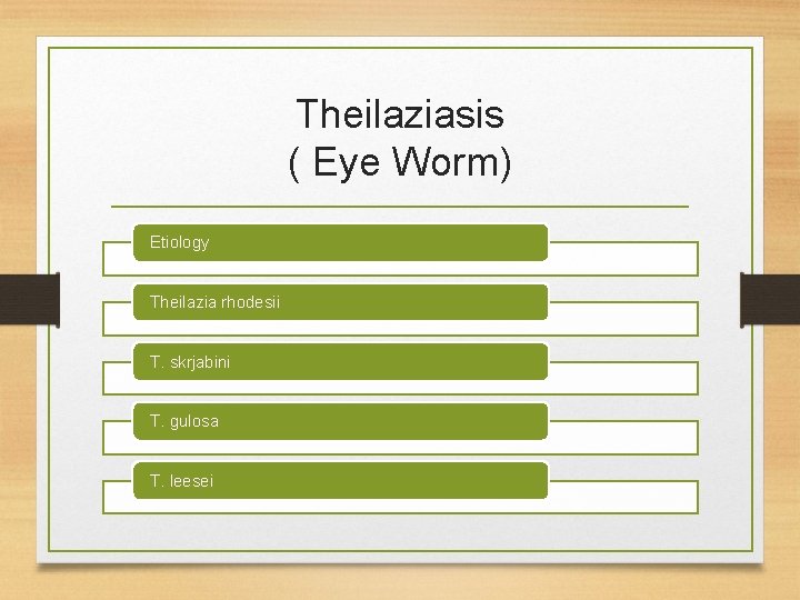Theilaziasis ( Eye Worm) Etiology Theilazia rhodesii T. skrjabini T. gulosa T. leesei 