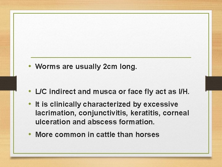  • Worms are usually 2 cm long. • L/C indirect and musca or