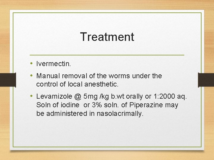 Treatment • Ivermectin. • Manual removal of the worms under the control of local
