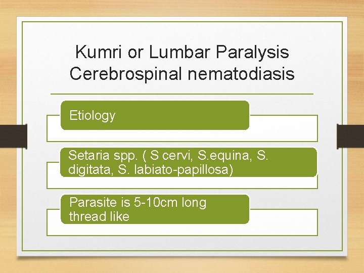 Kumri or Lumbar Paralysis Cerebrospinal nematodiasis Etiology Setaria spp. ( S cervi, S. equina,