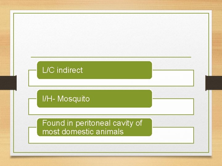 L/C indirect I/H- Mosquito Found in peritoneal cavity of most domestic animals 