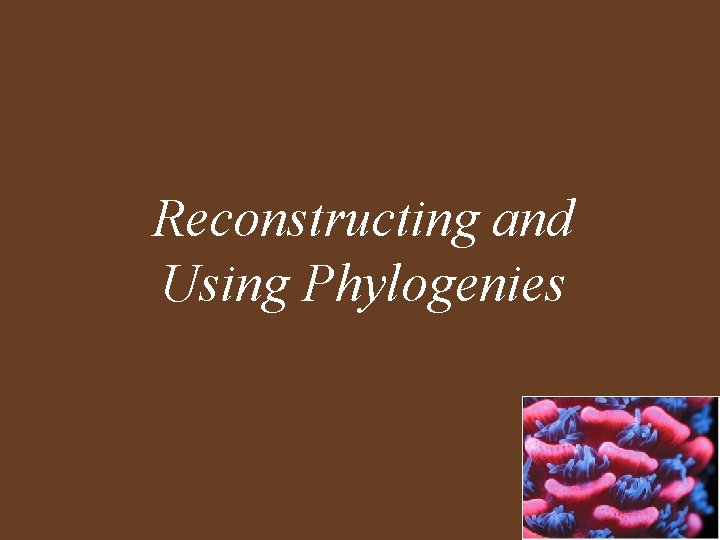 Reconstructing and Using Phylogenies 