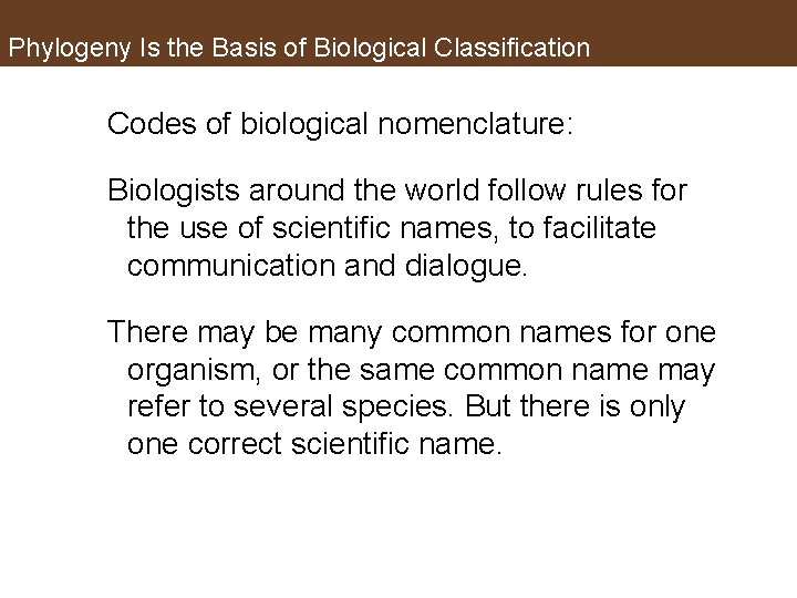 Phylogeny Is the Basis of Biological Classification Codes of biological nomenclature: Biologists around the