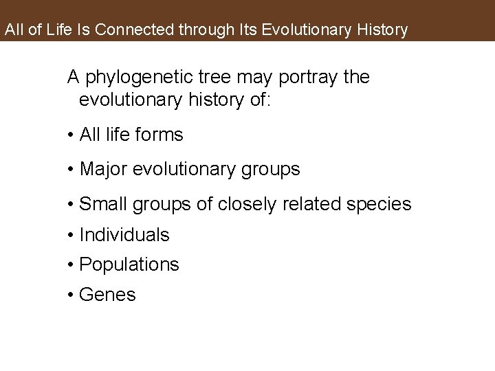 All of Life Is Connected through Its Evolutionary History A phylogenetic tree may portray