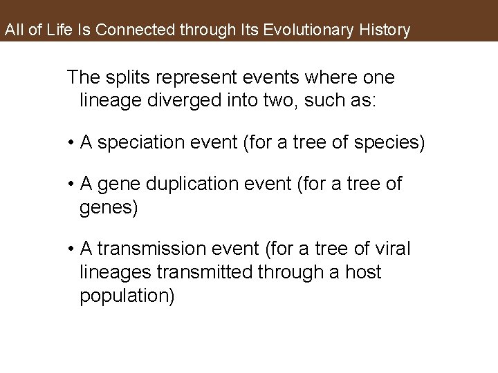 All of Life Is Connected through Its Evolutionary History The splits represent events where