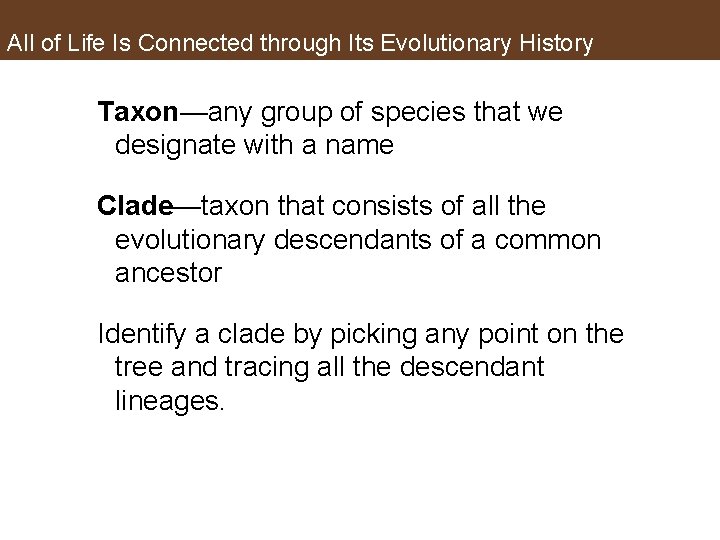 All of Life Is Connected through Its Evolutionary History Taxon—any group of species that